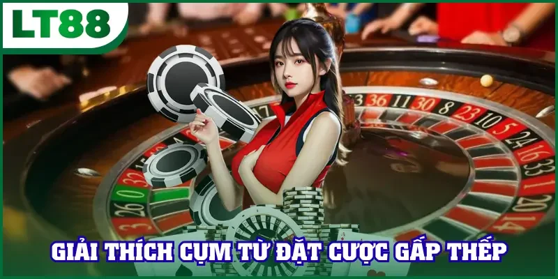 Giải thích cụm từ đặt cược gấp thếp