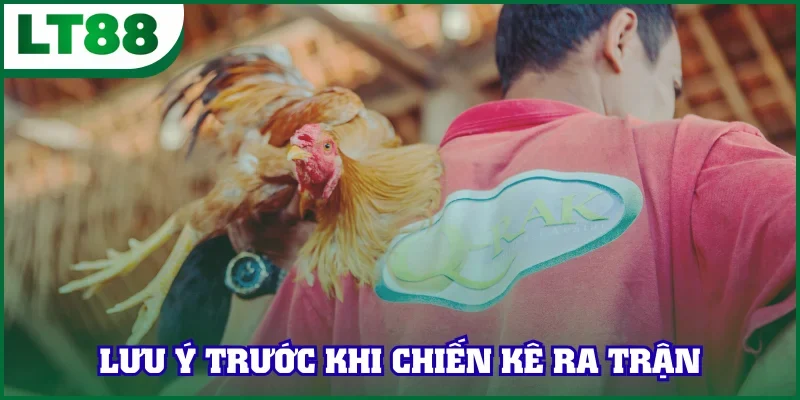 Lưu ý nổi bật cần nắm cho các sư kê