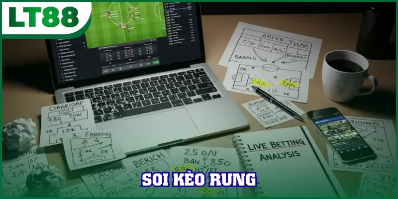 Soi Kèo Rung Thông Minh Nắm Bắt Cơ Hội Thắng Nhanh