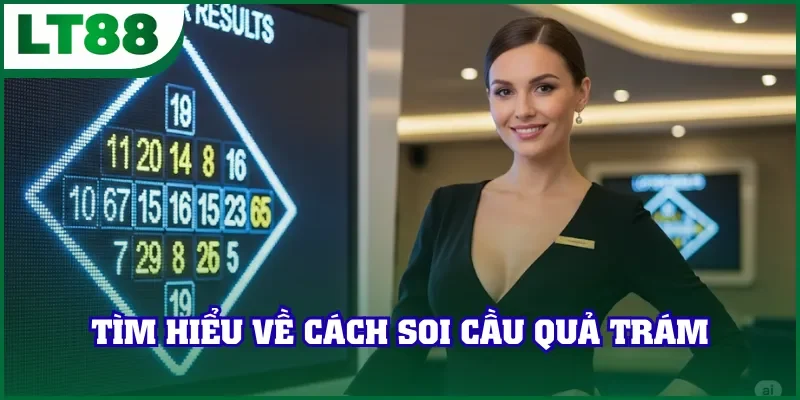 Tìm hiểu về cách soi cầu quả trám